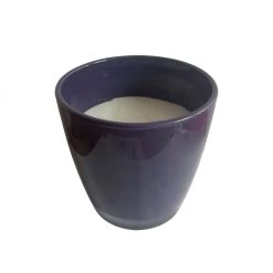 Best Pirce ✔️ Australia Only - Marquee 135 X 135mm Charcoal Glass Pot Citronella Candle 🧨