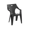 Best Sale 😀 Marquee Anthracite Kapri Resin Chair - To Australia ✨
